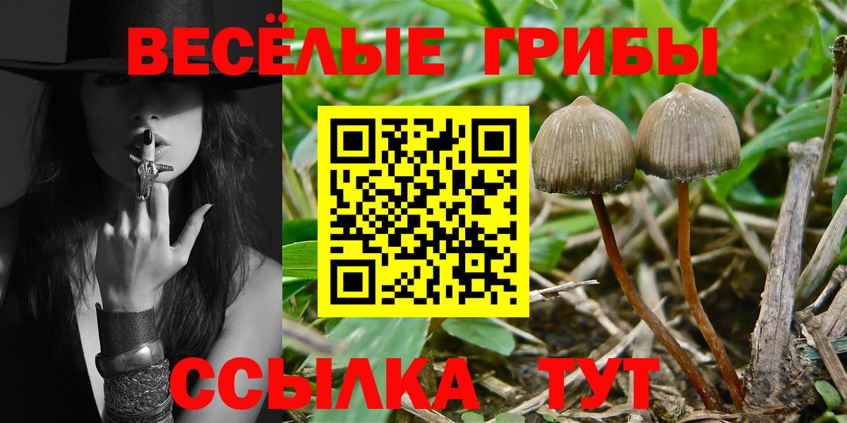 Псилоцибиновые грибы Cubensis  Галлюциногенные грибы Psilocybine cubensis  Вход с VPN  Тольятти 