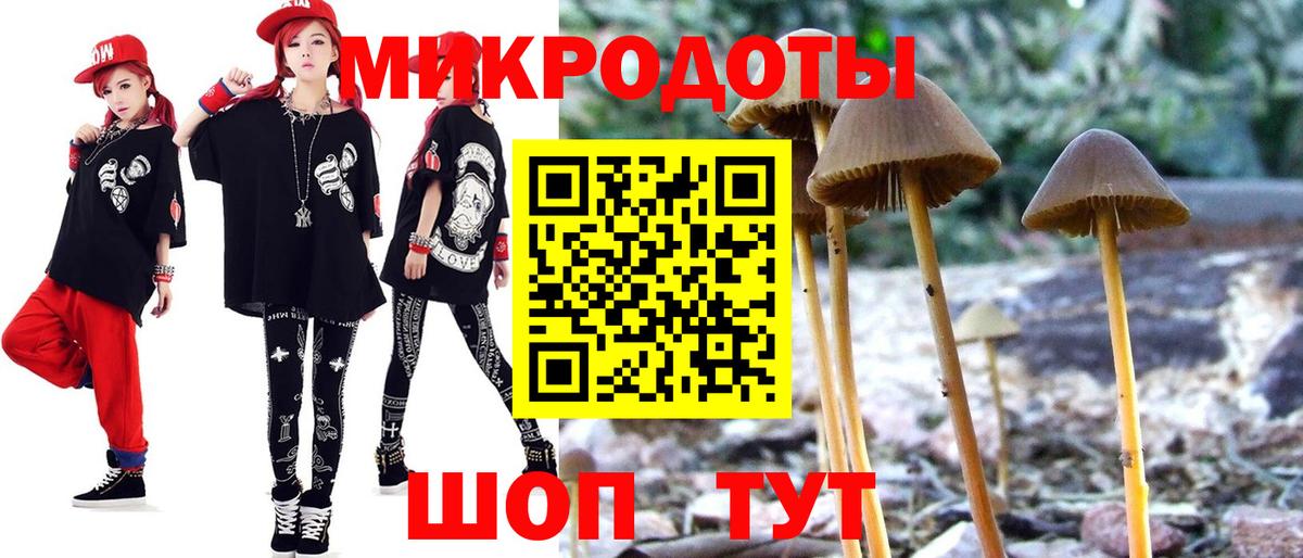 Галлюциногенные грибы мухоморы Тольятти